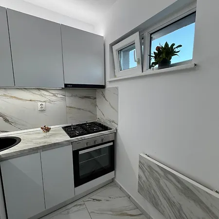 Corvinia House Marasti Apartment *