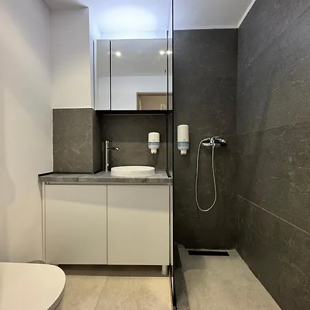 Apartment Corvinia House Marasti - Free Parking - Near Airport Cluj-Napoca