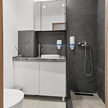 Corvinia House Marasti - Free Parking - Near Airport Apartamento *