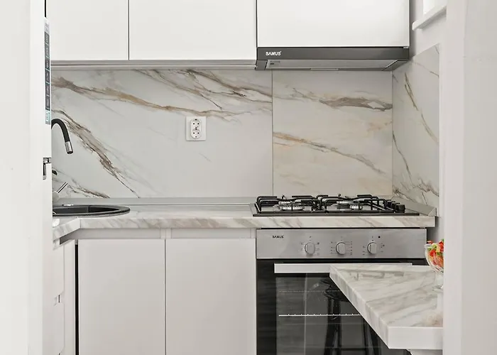 Corvinia House Marasti - Free Parking - Near Airport Apartment *