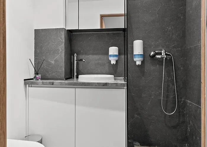 Corvinia House Marasti - Free Parking - Near Airport Apartment *